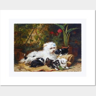 A cairn terrier and her puppies in a conservatory Posters and Art